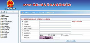 重慶網站建設哪家好？——引序科技立足技術深耕，引領網絡服務新風向